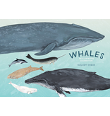 Random House Whales: An Illustrated Celebration