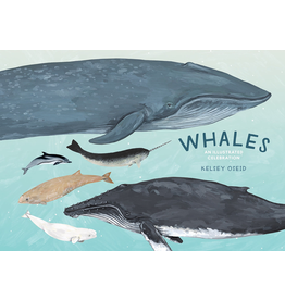 Random House Whales: An Illustrated Celebration