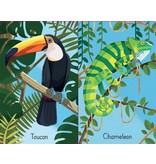 Usborne Snap Cards: Jungle