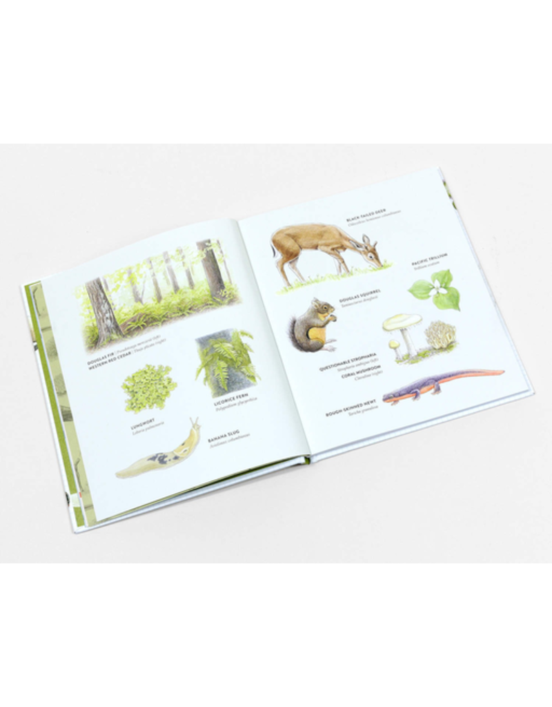 Random House Curious Kids Nature Guide