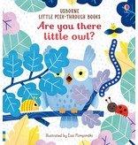 Usborne Are You There Little Owl?