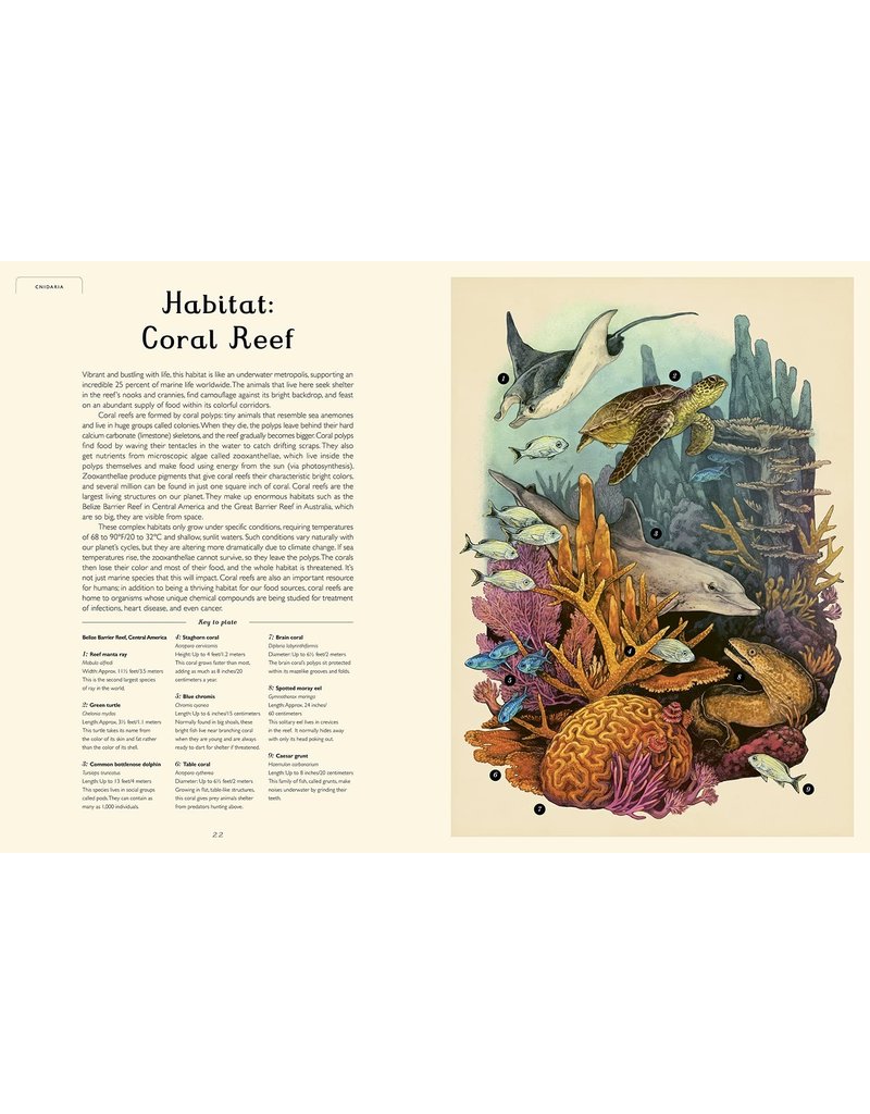 Random House Oceanarium