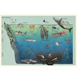 Random House Oceanarium