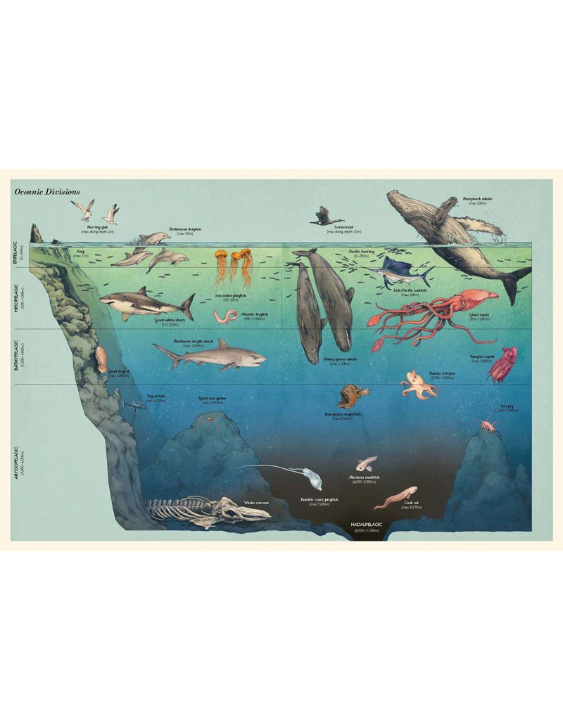 Random House Oceanarium