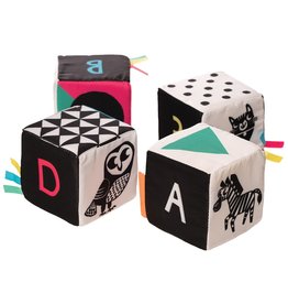 Manhattan Toys Wimmer-Ferguson Mind Cubes