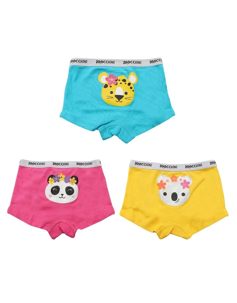 Zoocchini Flower Power Organic Hipster 3pk