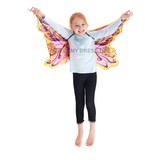 Rainbow Fairy Wings, Multi