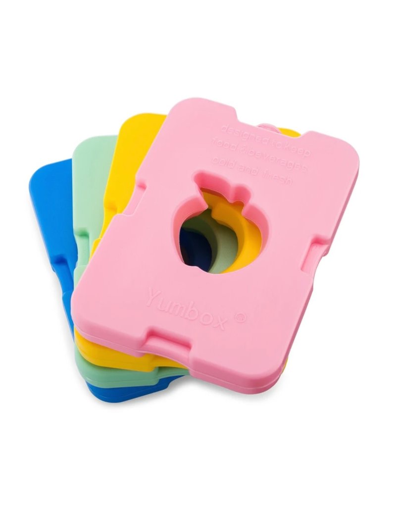 Ice Packs Set of 4