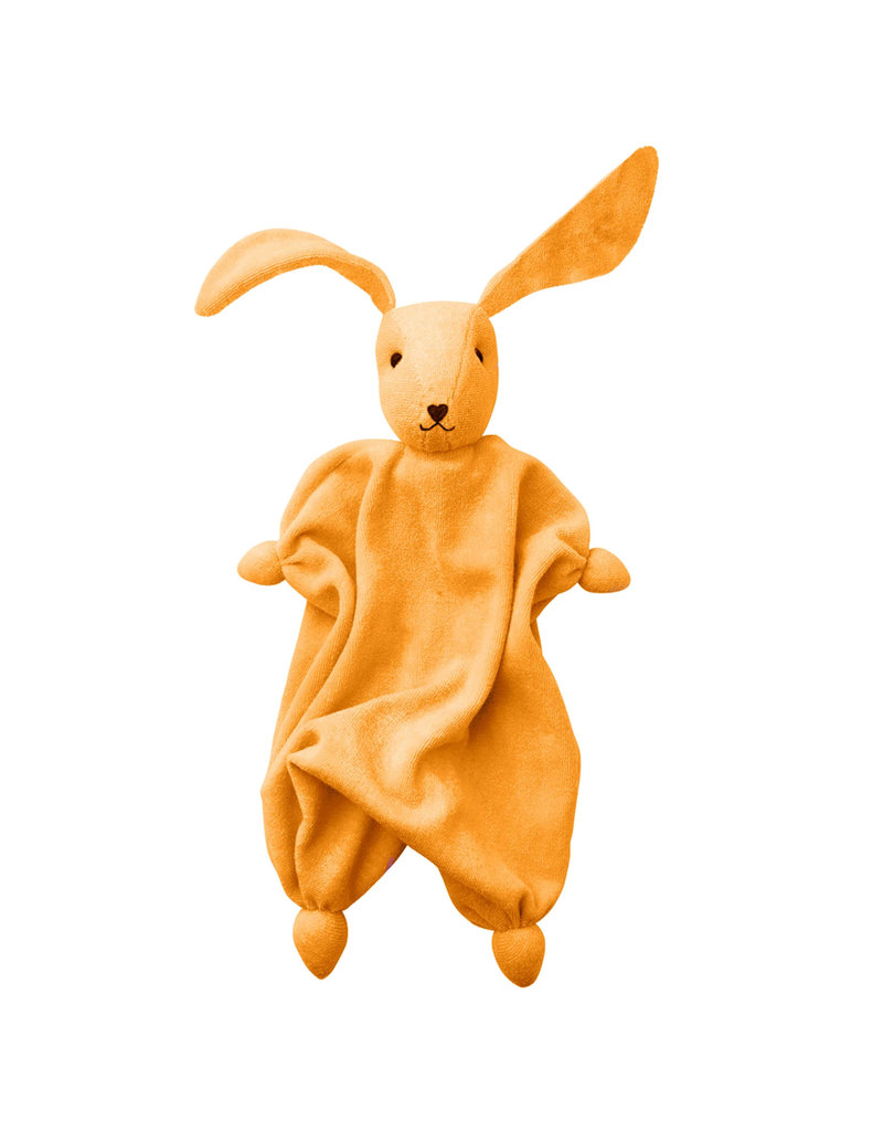 https://cdn.shoplightspeed.com/shops/644791/files/48084315/800x1024x2/peppa-organic-cotton-tino-orange.jpg