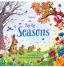 Usborne Pop-Up: Seasons