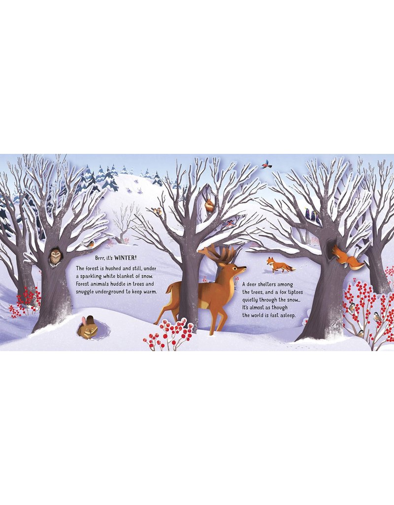 Usborne Pop-Up: Seasons