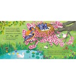 Usborne Pop-Up: Seasons
