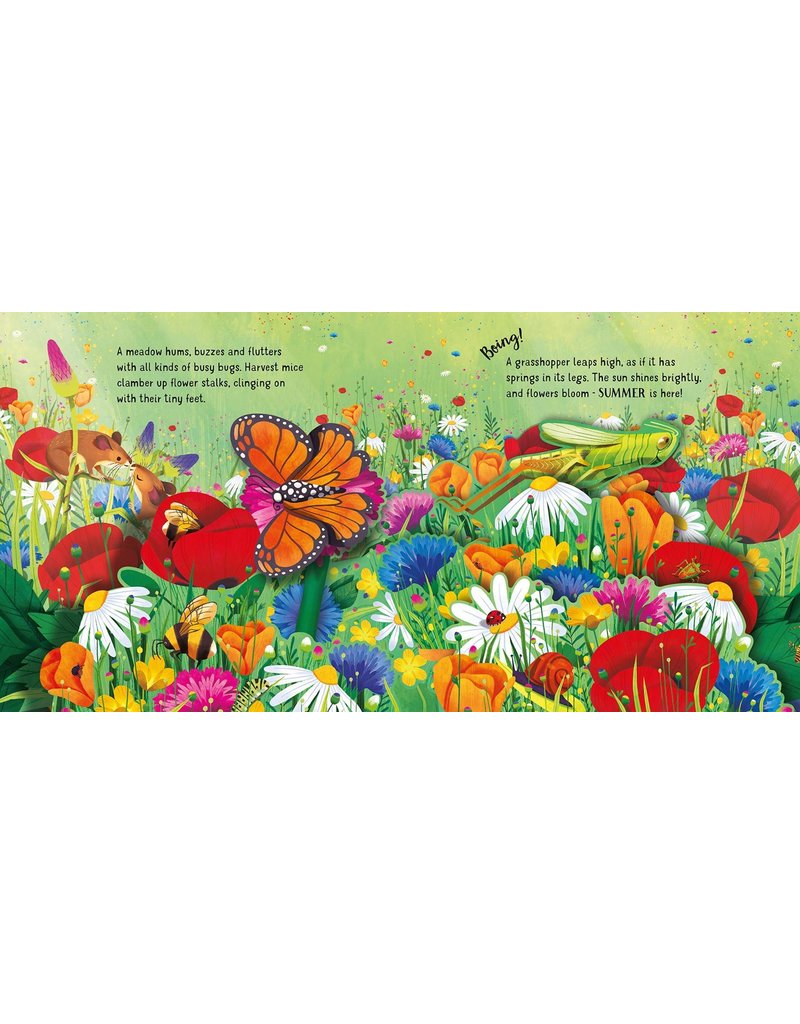 Usborne Pop-Up: Seasons