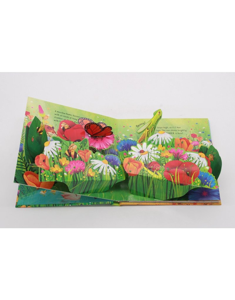 Usborne Pop-Up: Seasons