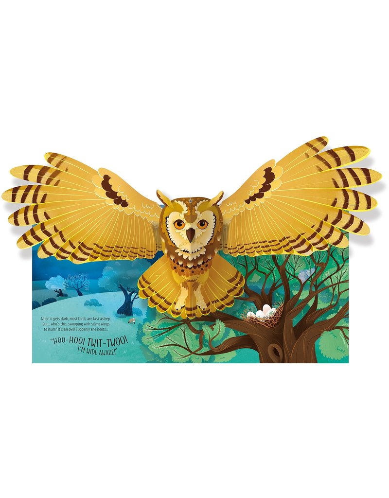 Usborne Pop-Up Birds