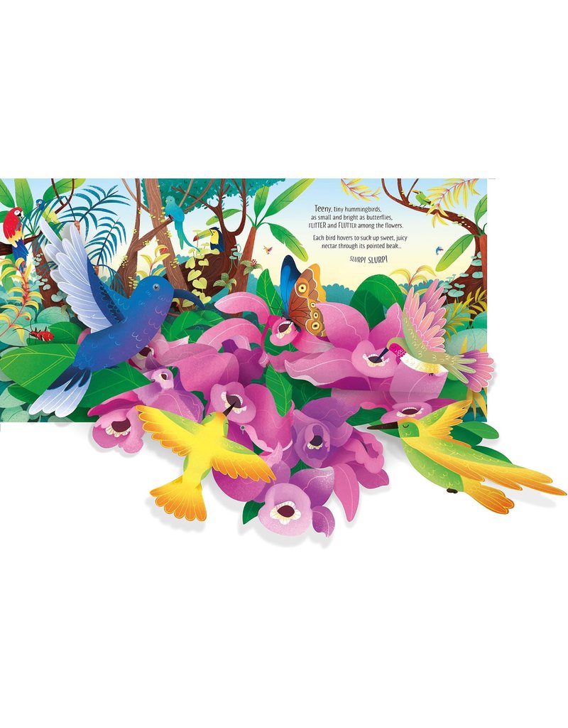 Usborne Pop-Up Birds