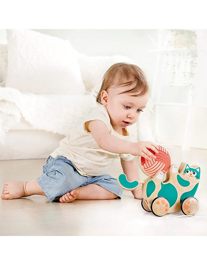 Roll Rattle Kitten Pull Vancouver s Best Baby Kids Store