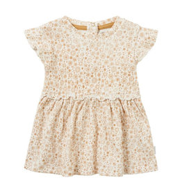 Noppies Neoga Organic Baby Dress, Size: 18-24m