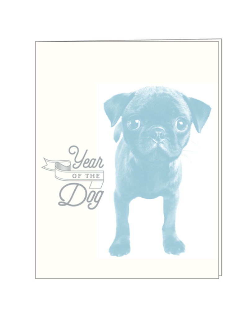 Ooly Hip Baby Cards - Blank