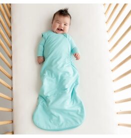 Kyte Baby Robin Bamboo Sleep Bag 0.5
