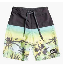 Quiksilver Palms Everyday Panel Boardshorts,  Size: 4