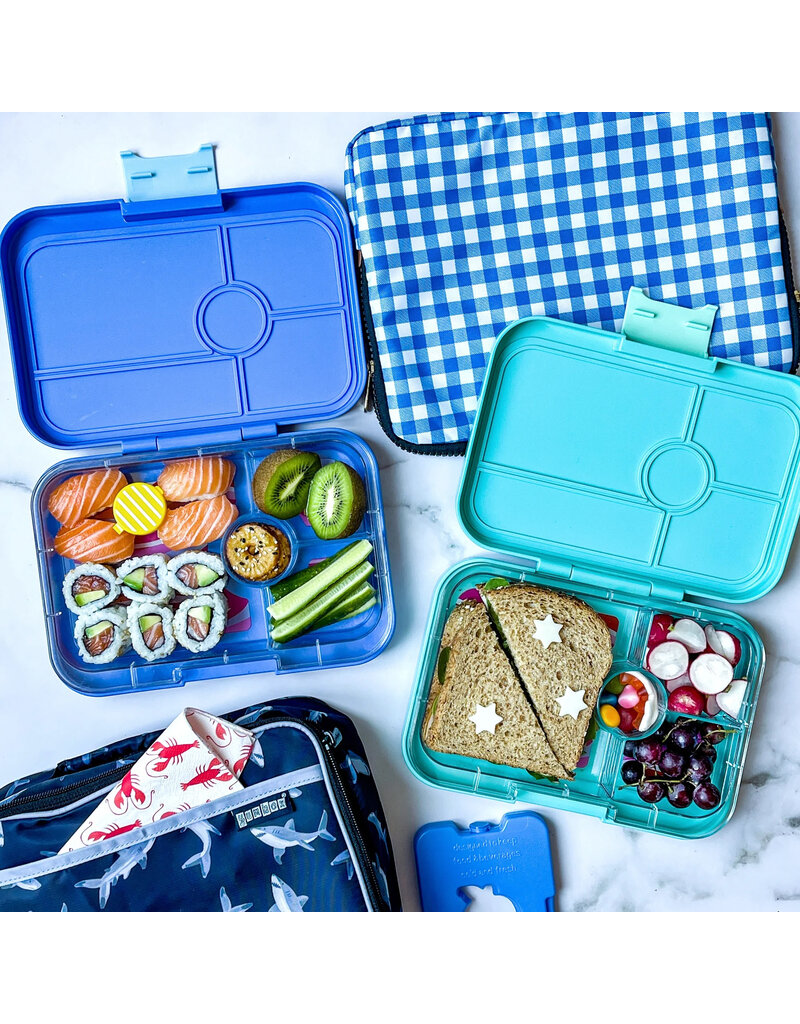 Tapas - 4 Compartment, Zodiac, Antibes Blue