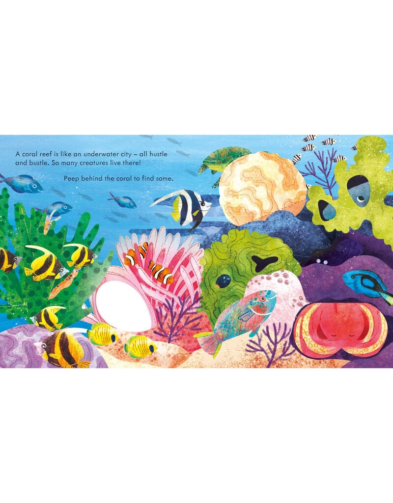 Usborne Peep Inside a Coral Reef