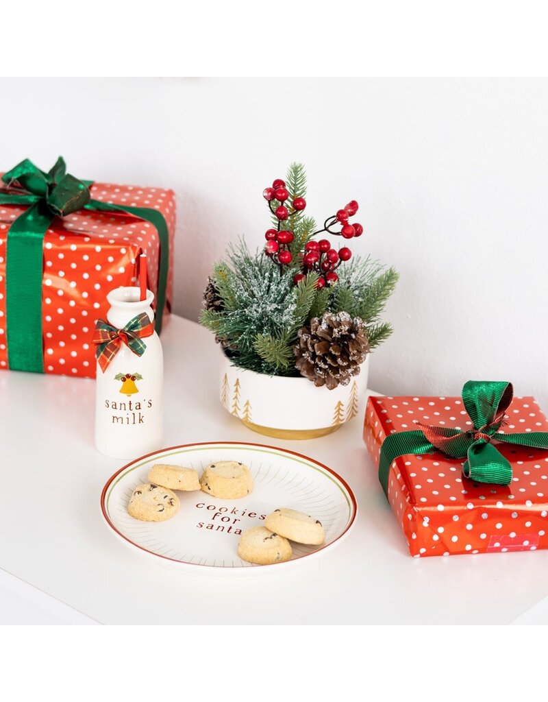 Santa's Cookie Set