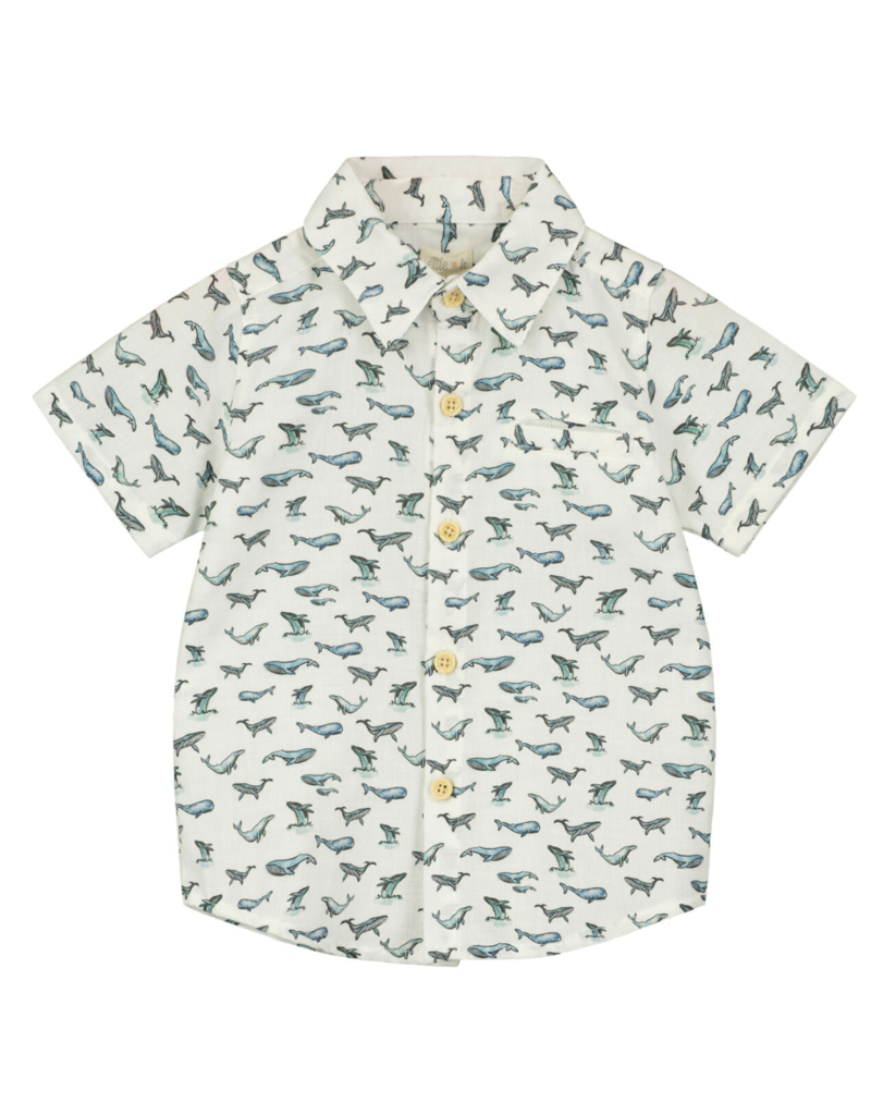 Ettie H Whales Baby Myles Button Shirt