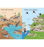 Usborne Little First Stickers: Seashore