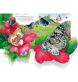 Usborne Pop-Up Butterflies