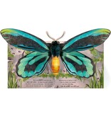 Usborne Pop-Up Butterflies