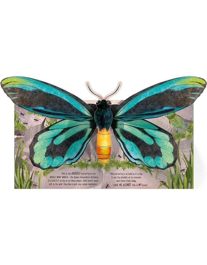 Usborne Pop-Up Butterflies