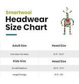Smartwool Grey Wool Beanie