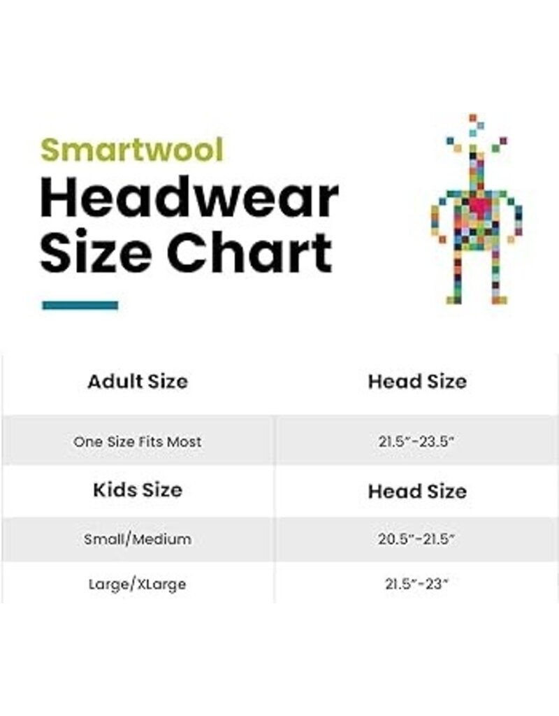 Smartwool Grey Wool Beanie