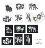 Wee Gallery Art Cards - Jungle