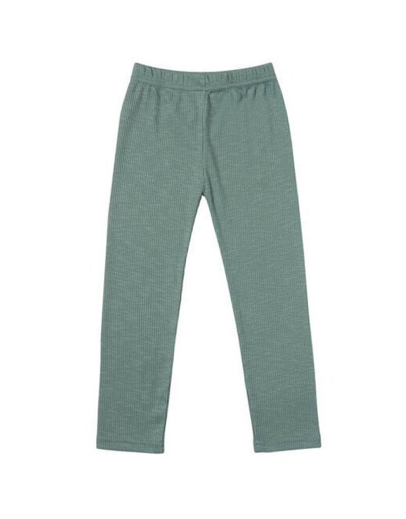 Vignette Kathleen Sage Leggings