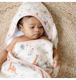 Loulou Lollipop Baby Dinomite Hooded Towel & Cloth