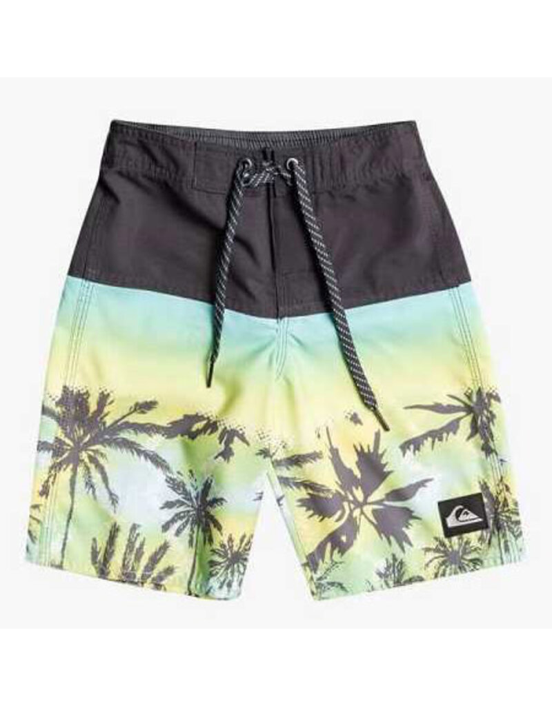 Quiksilver Palms Everyday Panel Boardshorts