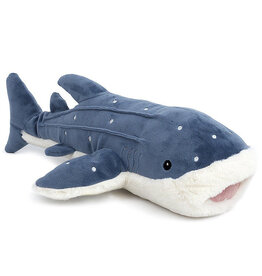 Mon Ami Echo The Whale