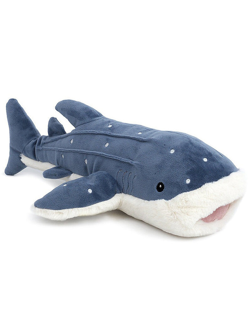 Mon Ami Echo The Whale