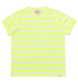 Camber Neon Striped Tee