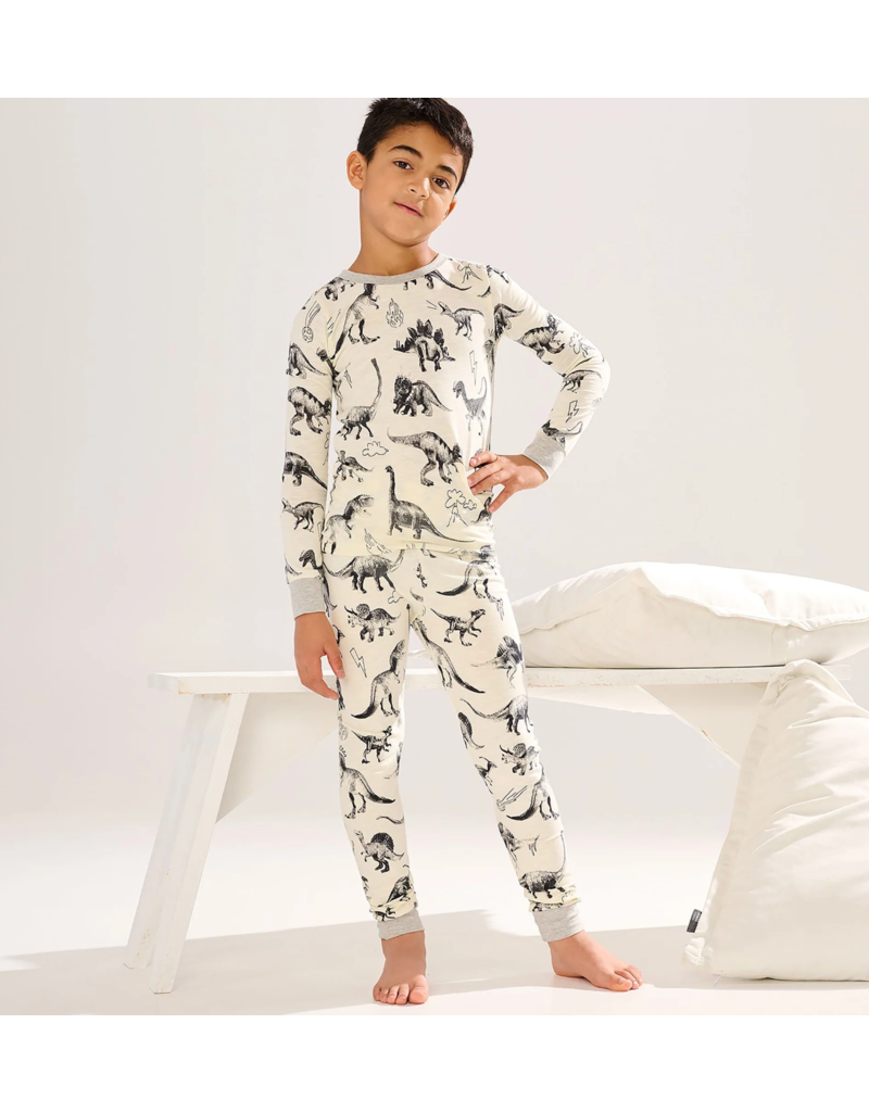 Hatley Dino Extinction Organic Stretch PJs