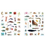 Outdoor School: Spot & Sticker Oceans