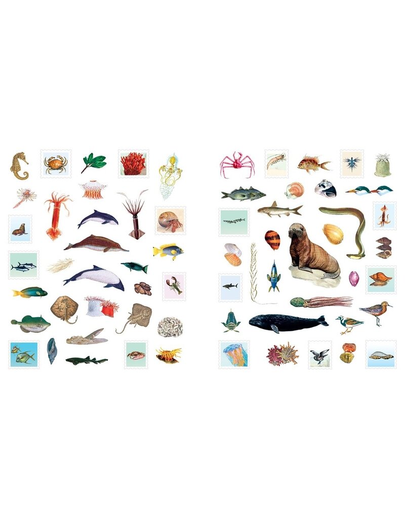 Outdoor School: Spot & Sticker Oceans