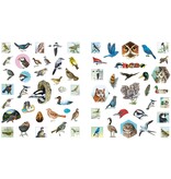 Outdoor School: Spot & Sticker Birds