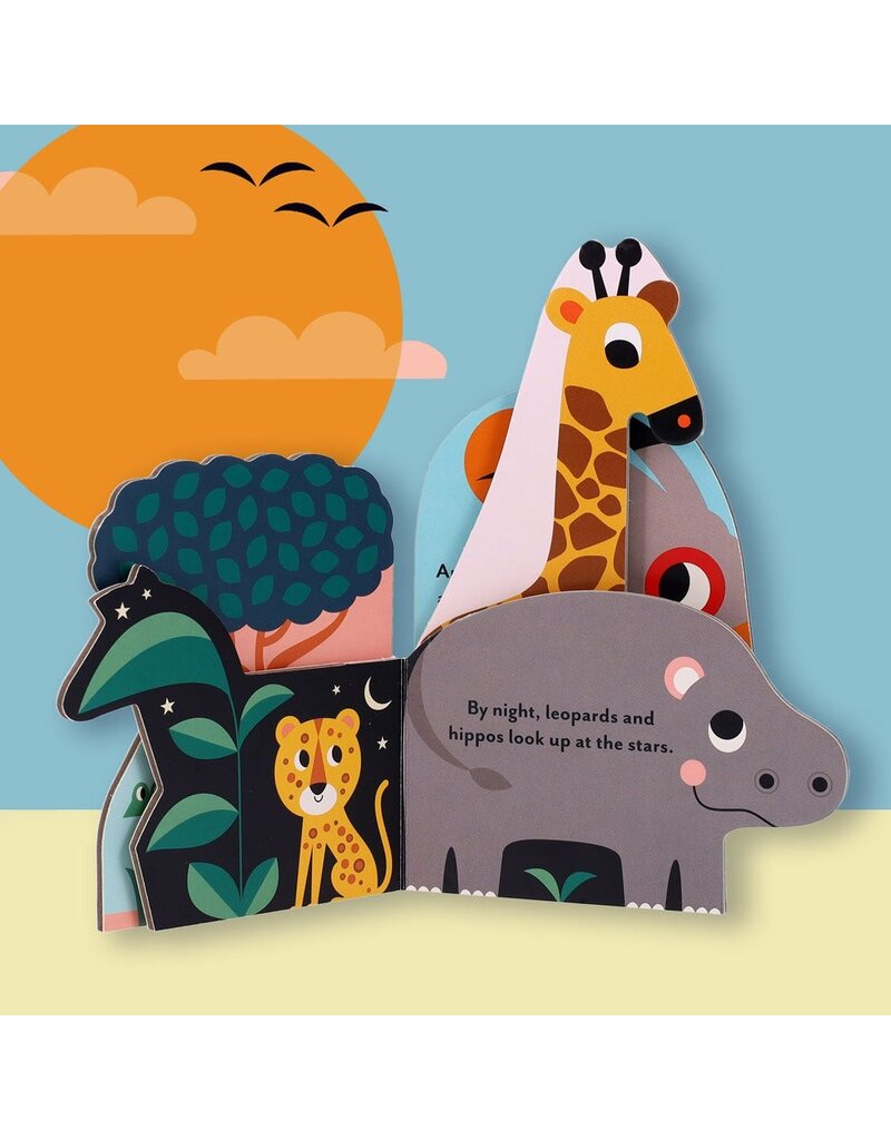 Bookscape Board Books: Wild Animals
