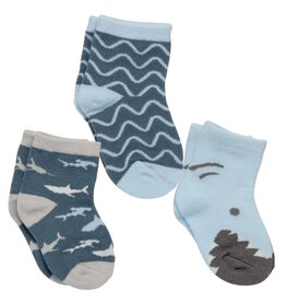 Sock Set Shark (0-12m)