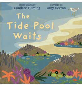 Random House The Tide Pool Waits