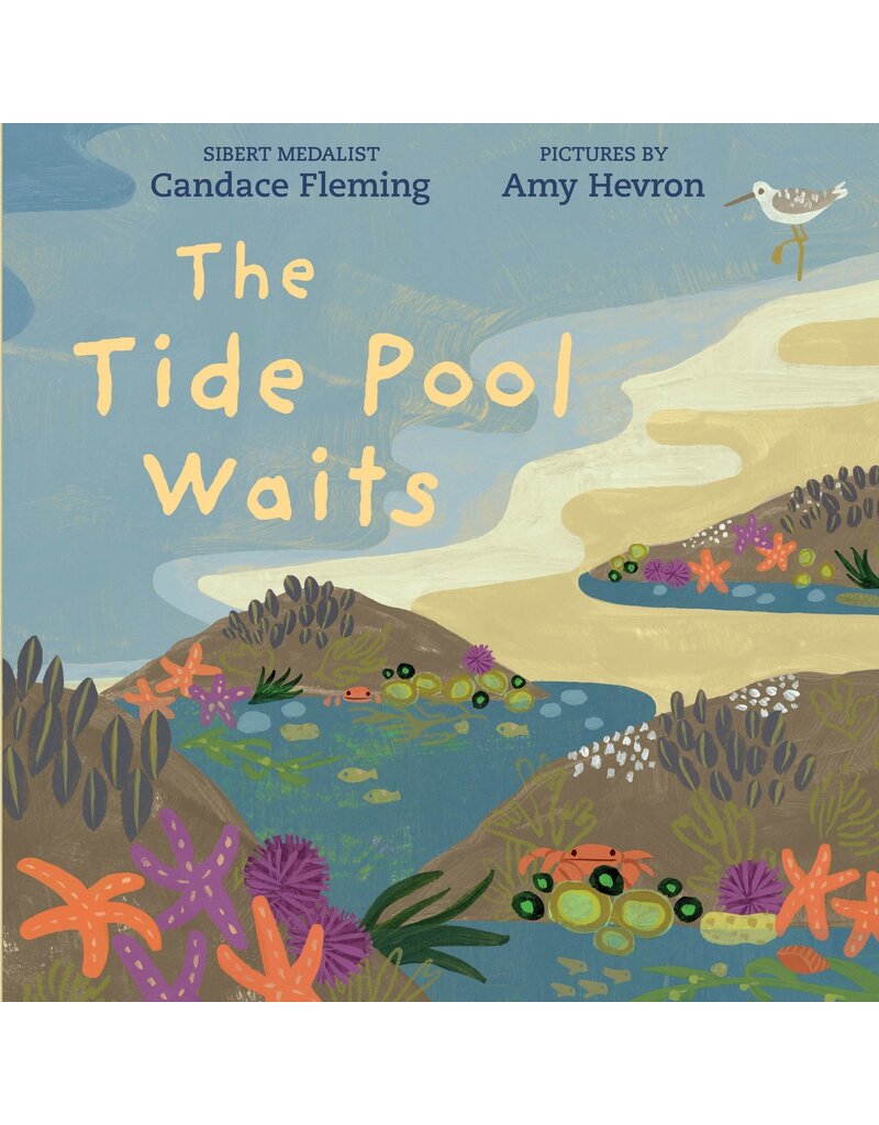 Random House The Tide Pool Waits
